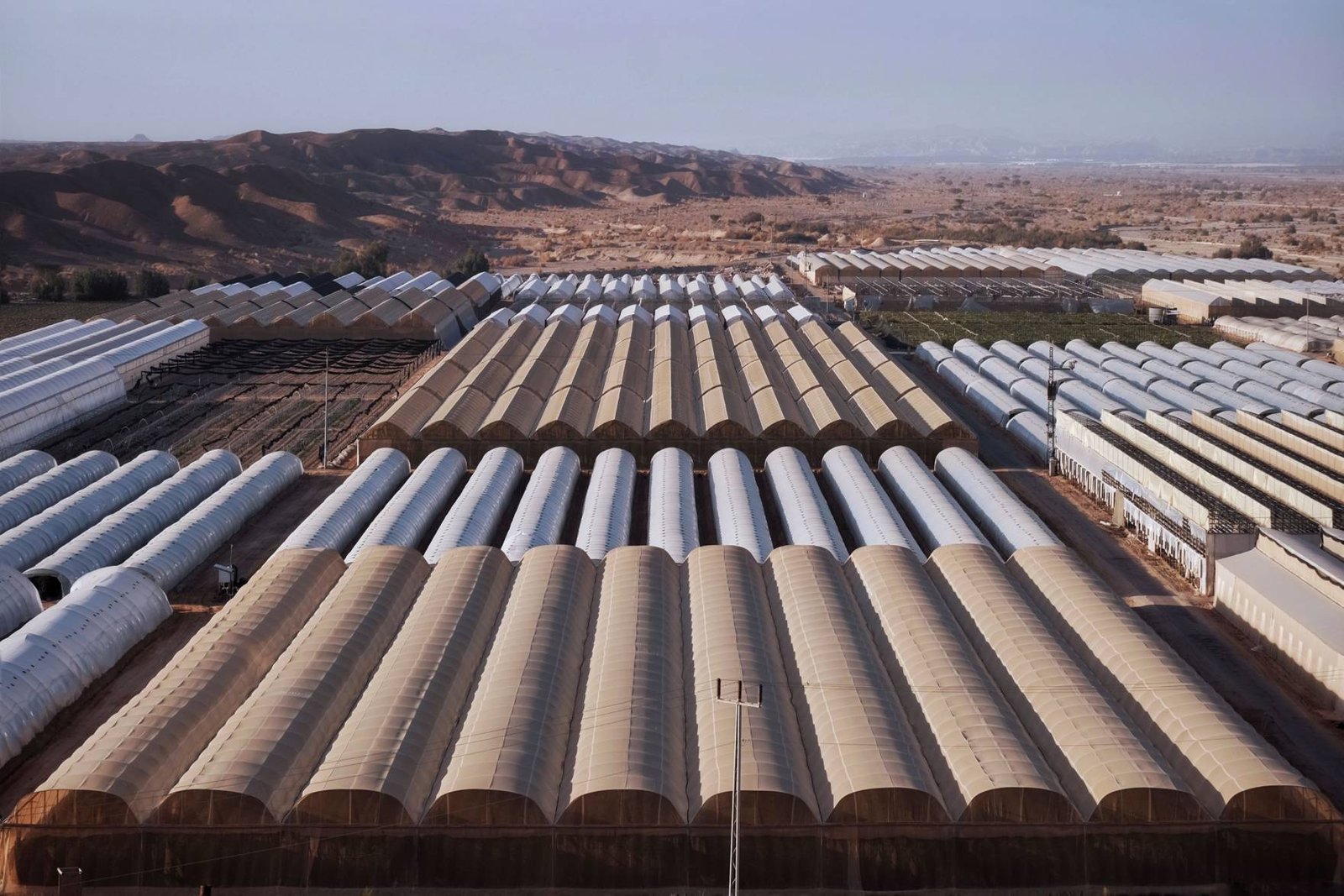 Commercial greenhouse controlled environment facility