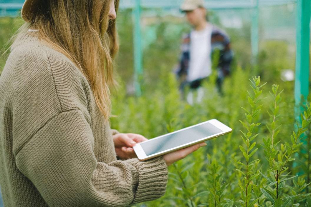 Smart agriculture sensor automation in cultivation room